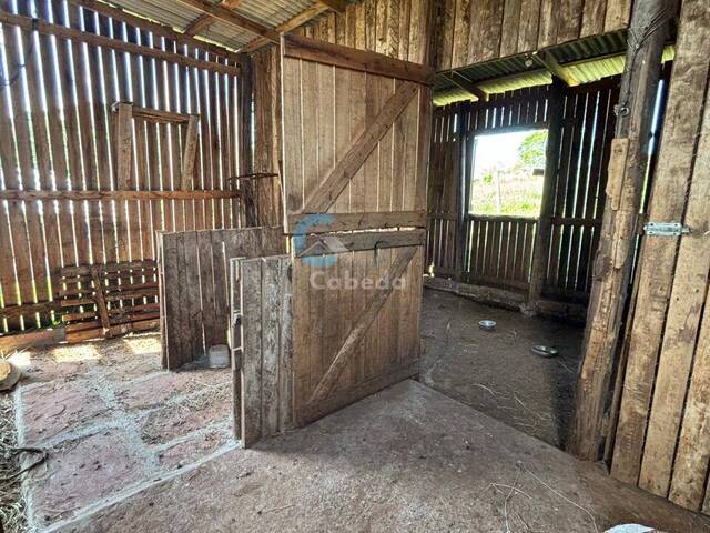 #77 - Casa para Venda em Sapucaia do Sul - RS - 3