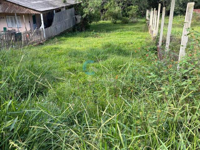 #93 - Área para Venda em Sapucaia do Sul - RS - 2