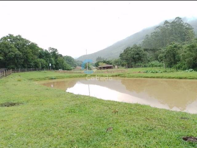 #165 - Chácara para Venda em Itati - RS - 3