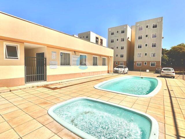 Apartamento para Venda em São Leopoldo - 5