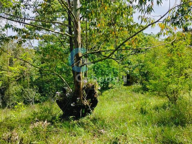 #173 - Chácara para Venda em Sapucaia do Sul - RS - 2