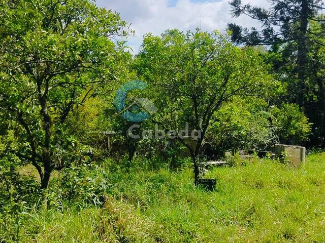 #173 - Chácara para Venda em Sapucaia do Sul - RS - 3