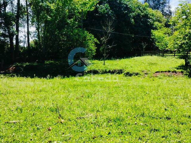 #174 - Chácara para Venda em Sapucaia do Sul - RS - 1