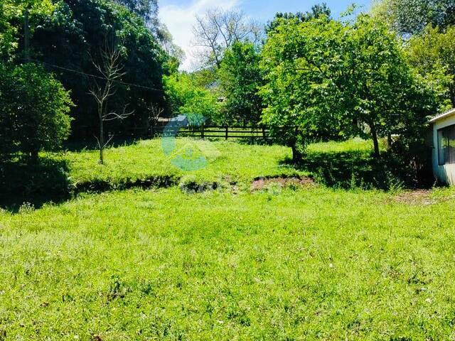 #174 - Chácara para Venda em Sapucaia do Sul - RS - 2