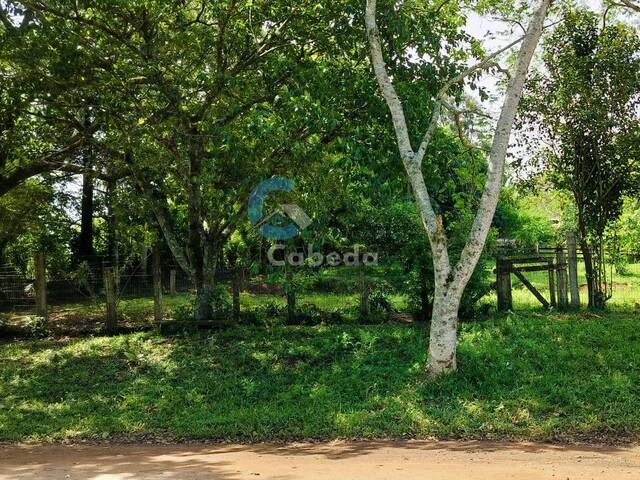 #174 - Chácara para Venda em Sapucaia do Sul - RS - 3