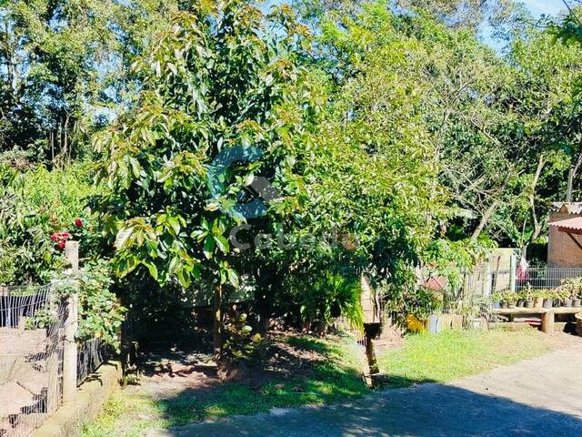 #175 - Chácara para Venda em Sapucaia do Sul - RS - 2