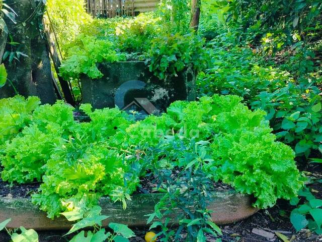 #175 - Chácara para Venda em Sapucaia do Sul - RS - 3