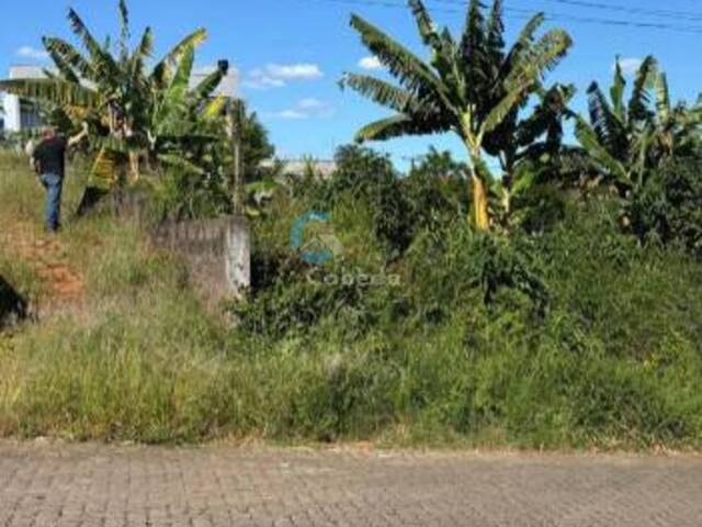 #178 - Terreno para Venda em Sapucaia do Sul - RS - 1