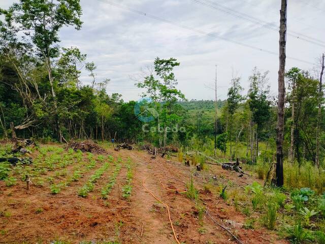 #180 - Chácara para Venda em Sapucaia do Sul - RS - 3