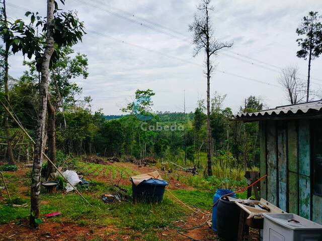 #180 - Chácara para Venda em Sapucaia do Sul - RS - 2