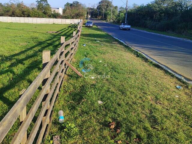 Área para Venda em Nova Santa Rita - 4