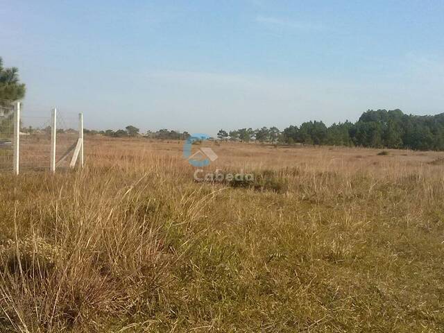 #192 - Terreno para Venda em Torres - RS - 1