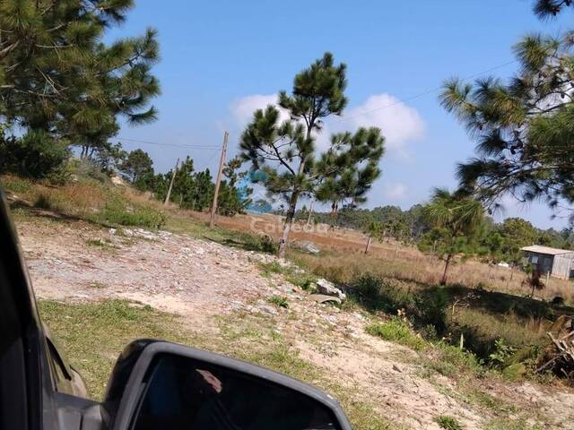 #193 - Terreno para Venda em Torres - RS - 1
