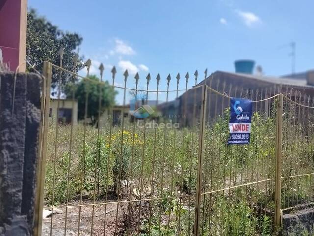 #198 - Área para Venda em Sapucaia do Sul - RS - 2