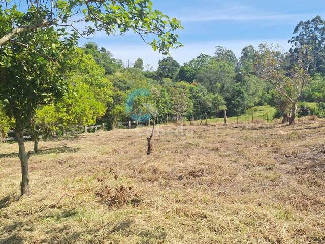 #209 - Chácara para Venda em Sapucaia do Sul - RS - 1