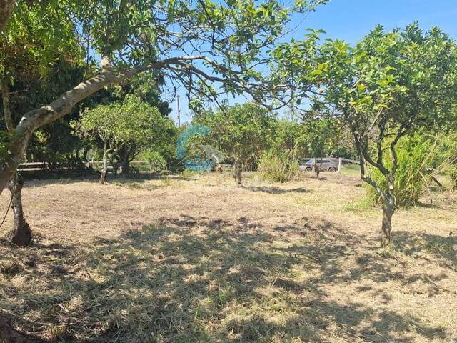 #209 - Chácara para Venda em Sapucaia do Sul - RS - 3