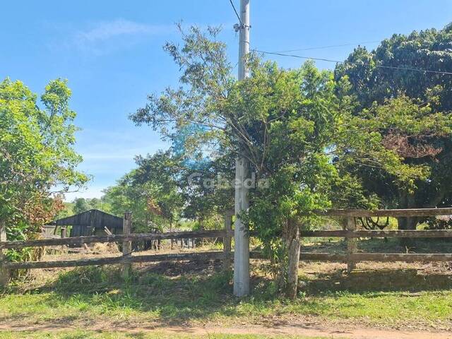 #209 - Chácara para Venda em Sapucaia do Sul - RS - 2