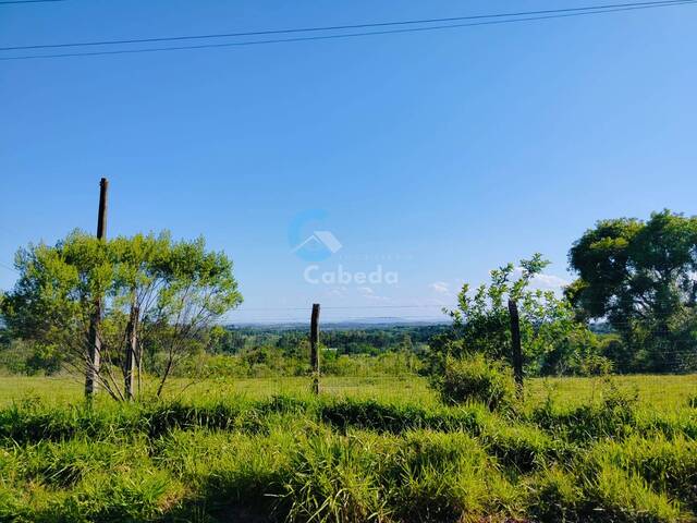 #218 - Chácara para Venda em Sapucaia do Sul - RS - 1