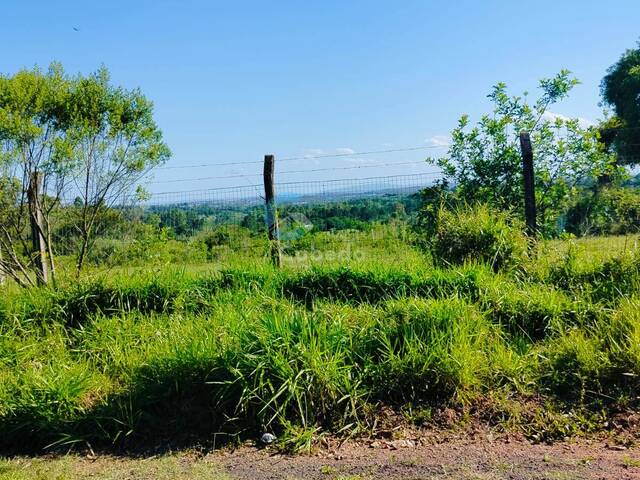 #218 - Chácara para Venda em Sapucaia do Sul - RS - 3