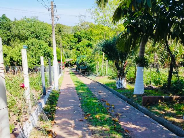 #175 - Chácara para Venda em Sapucaia do Sul - RS - 1