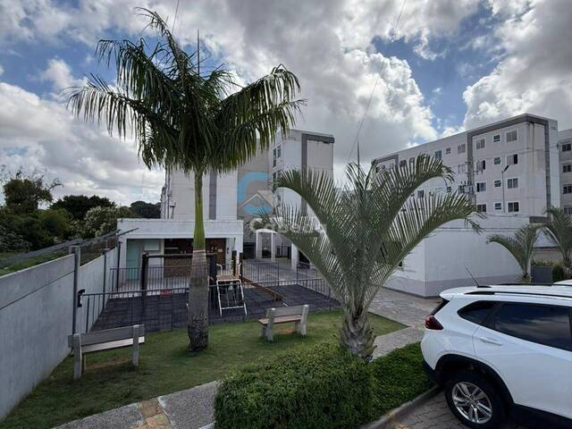 Apartamento para Venda em Sapucaia do Sul - 4