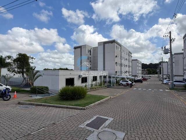 Apartamento para Venda em Sapucaia do Sul - 5