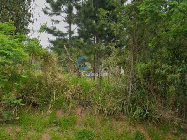 Venda em Lomba da Palmeira - Sapucaia do Sul