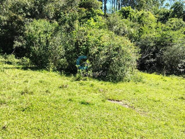 #306 - Área para Venda em Sapucaia do Sul - RS