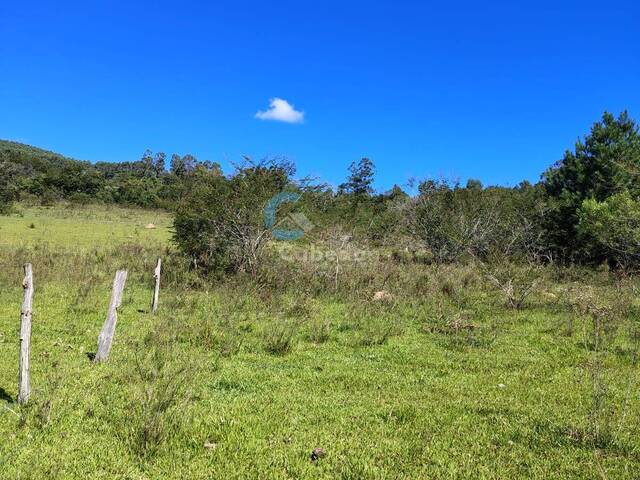 #306 - Área para Venda em Sapucaia do Sul - RS