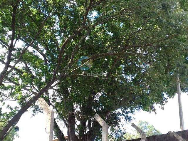 #315 - Terreno para Venda em Sapucaia do Sul - RS - 3