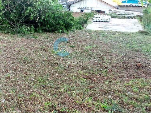 Área para Venda em Sapucaia do Sul - 4