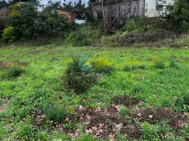 Área para Venda em Sapucaia do Sul - 3