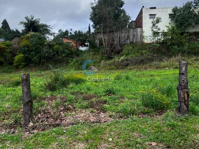 Área para Venda em Sapucaia do Sul - 4