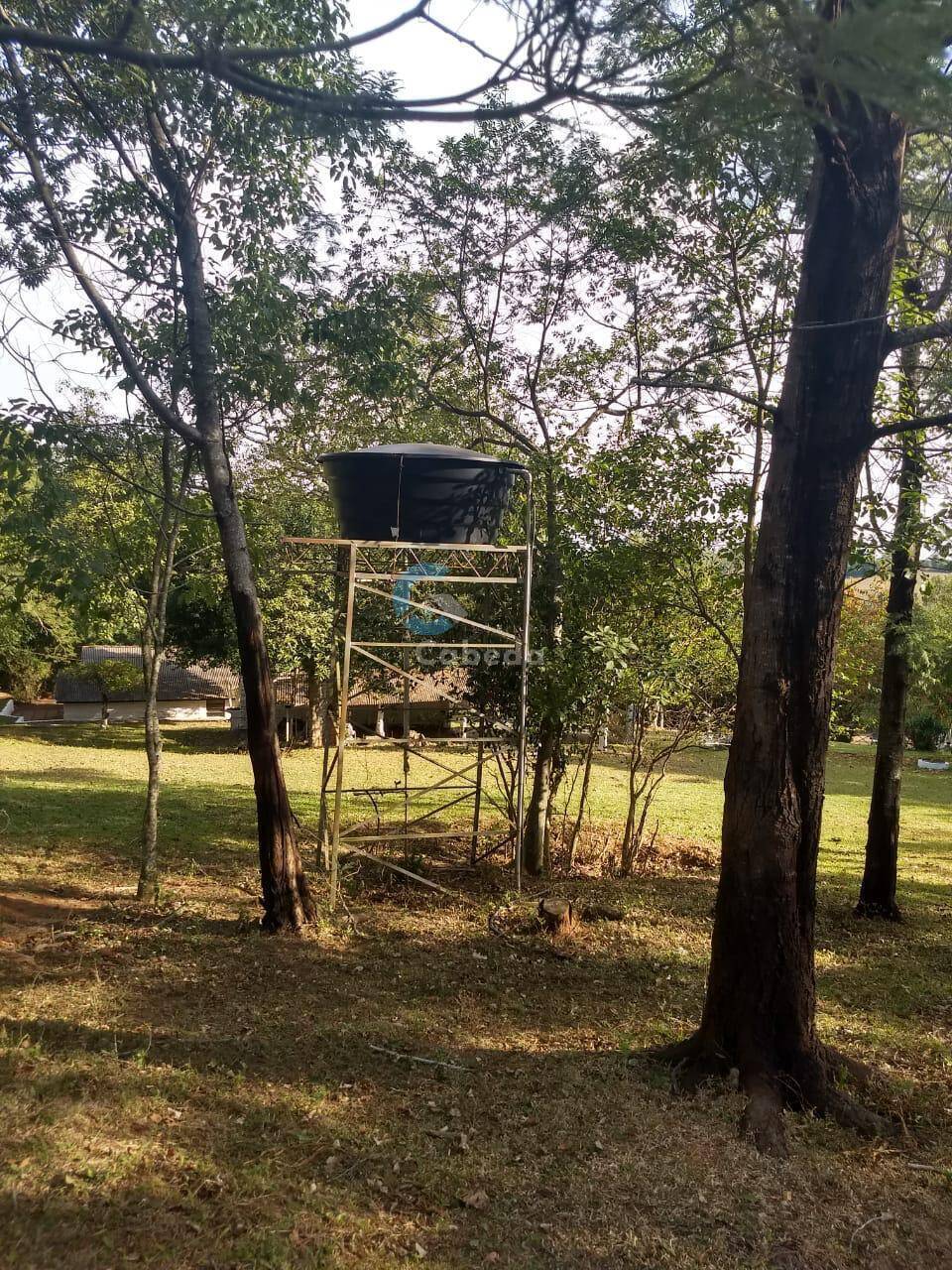 Chácara à venda com 3 quartos, 9000m² - Foto 4