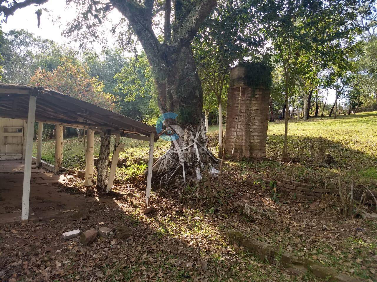 Chácara à venda com 3 quartos, 9000m² - Foto 9