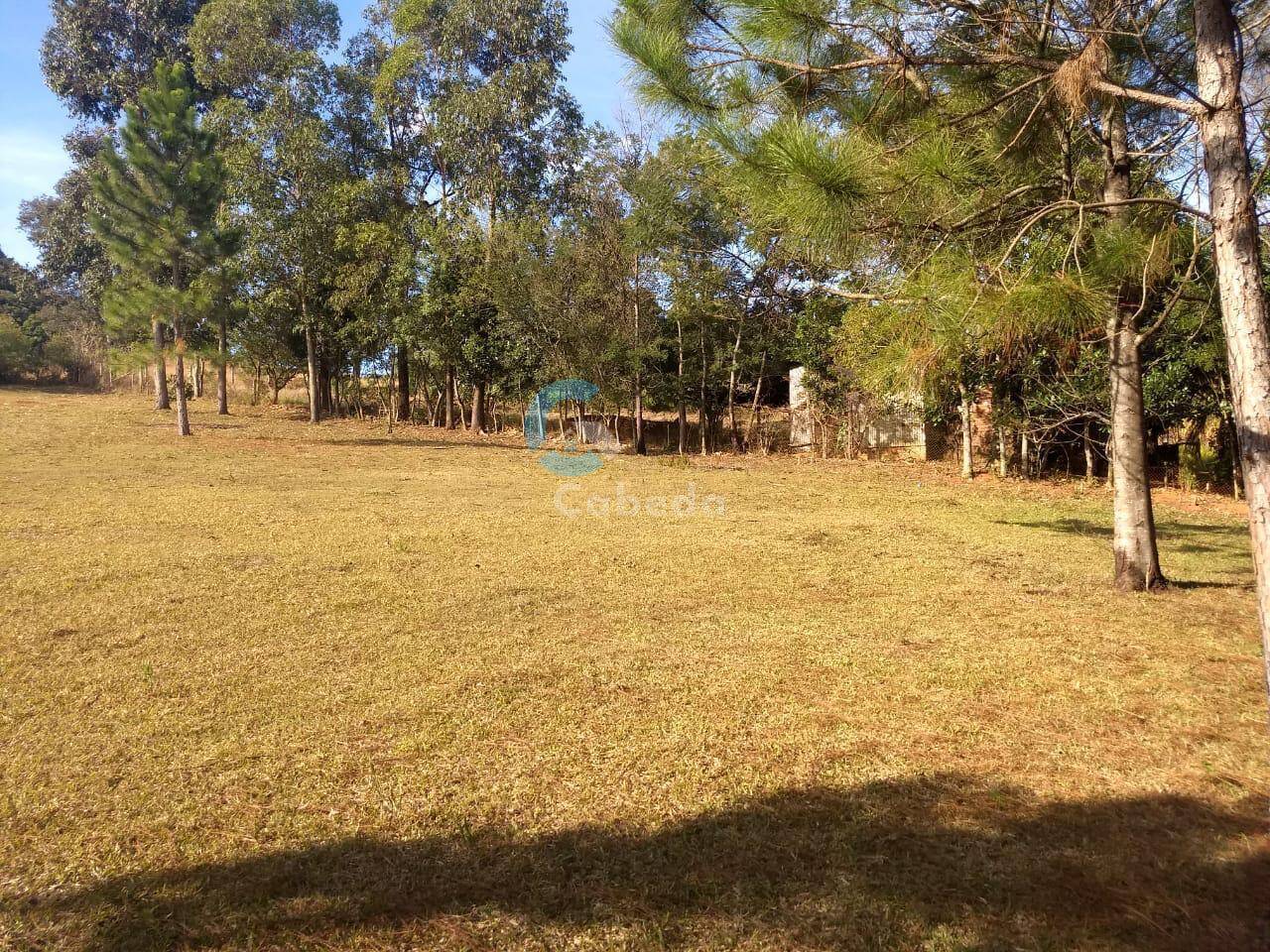 Chácara à venda com 3 quartos, 9000m² - Foto 8