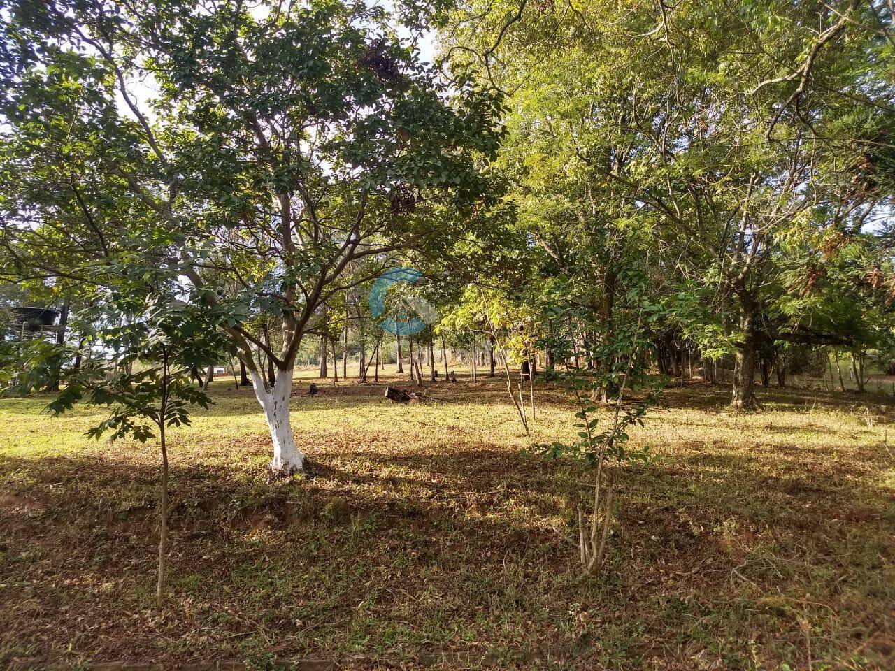 Chácara à venda com 3 quartos, 9000m² - Foto 10