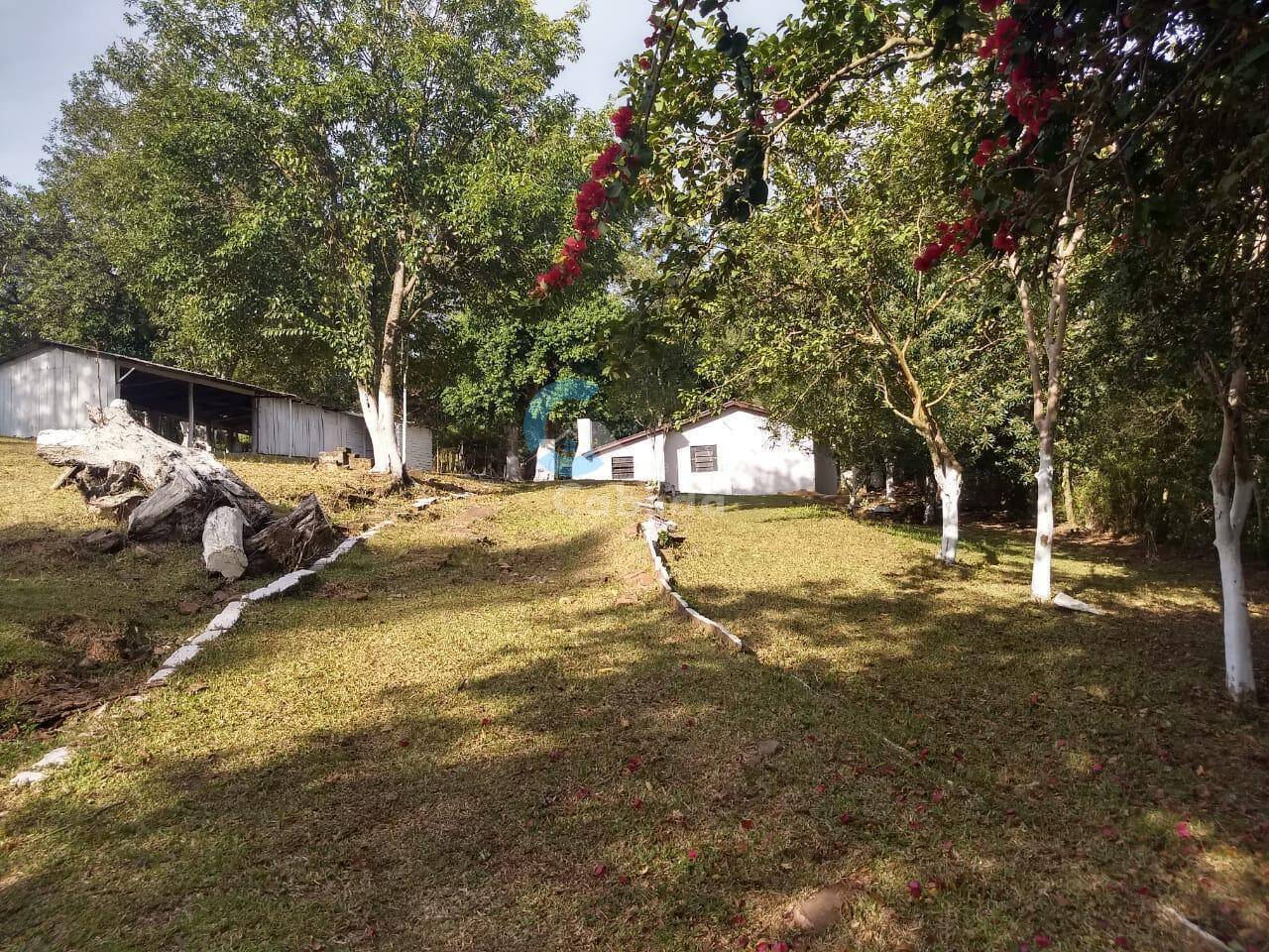 Chácara à venda com 3 quartos, 9000m² - Foto 12