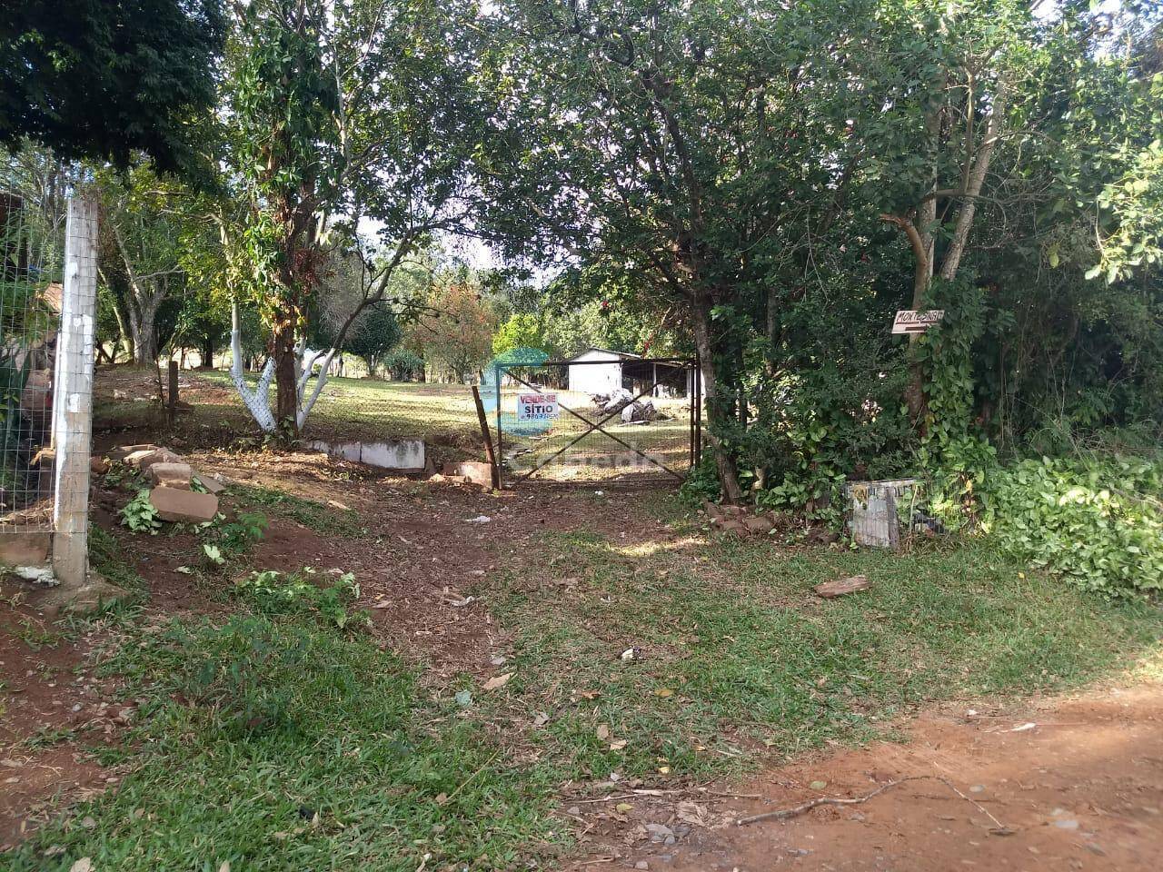 Chácara à venda com 3 quartos, 9000m² - Foto 13