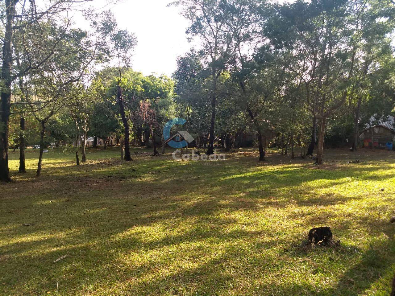 Chácara à venda com 3 quartos, 9000m² - Foto 14
