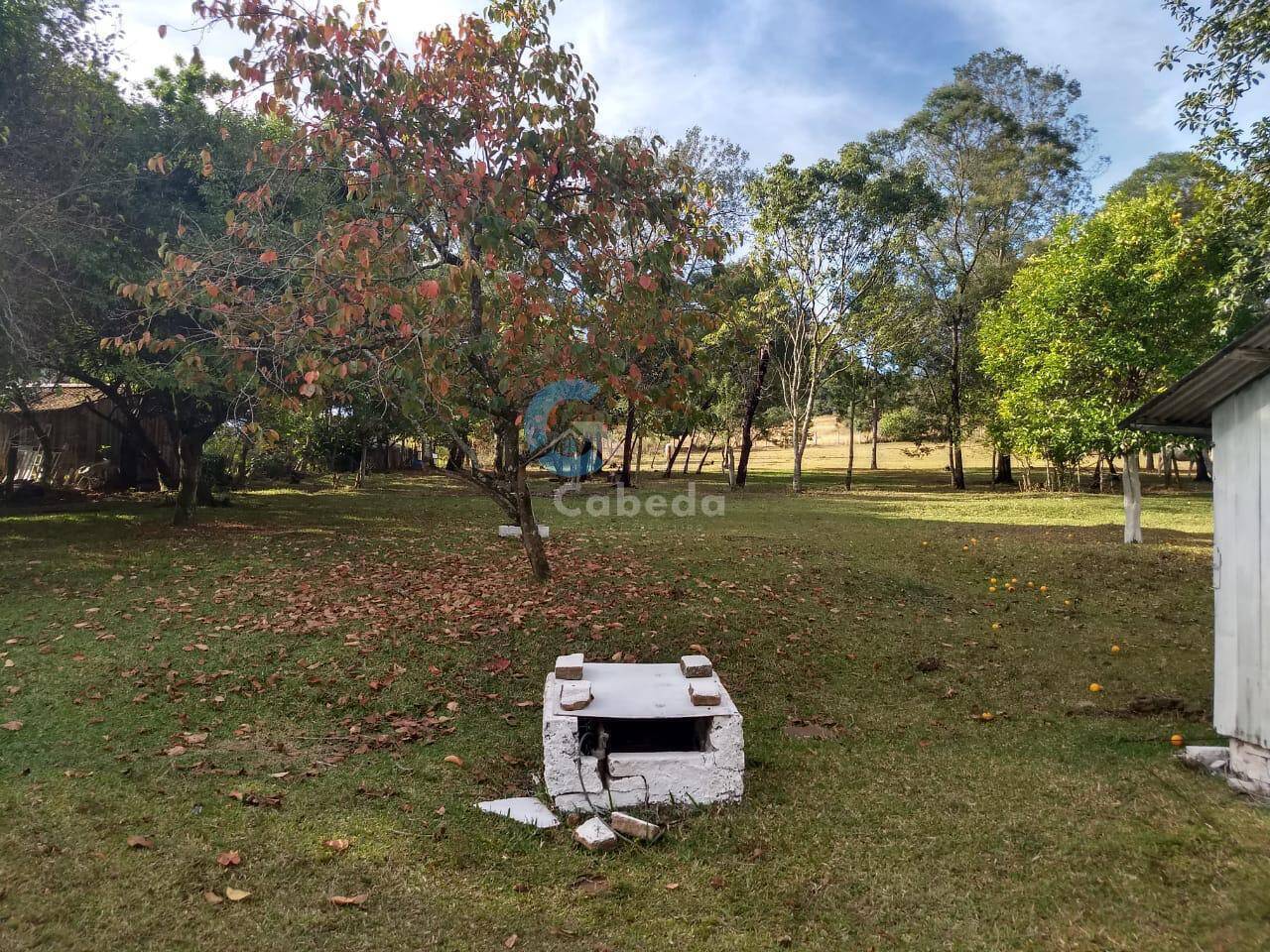 Chácara à venda com 3 quartos, 9000m² - Foto 15