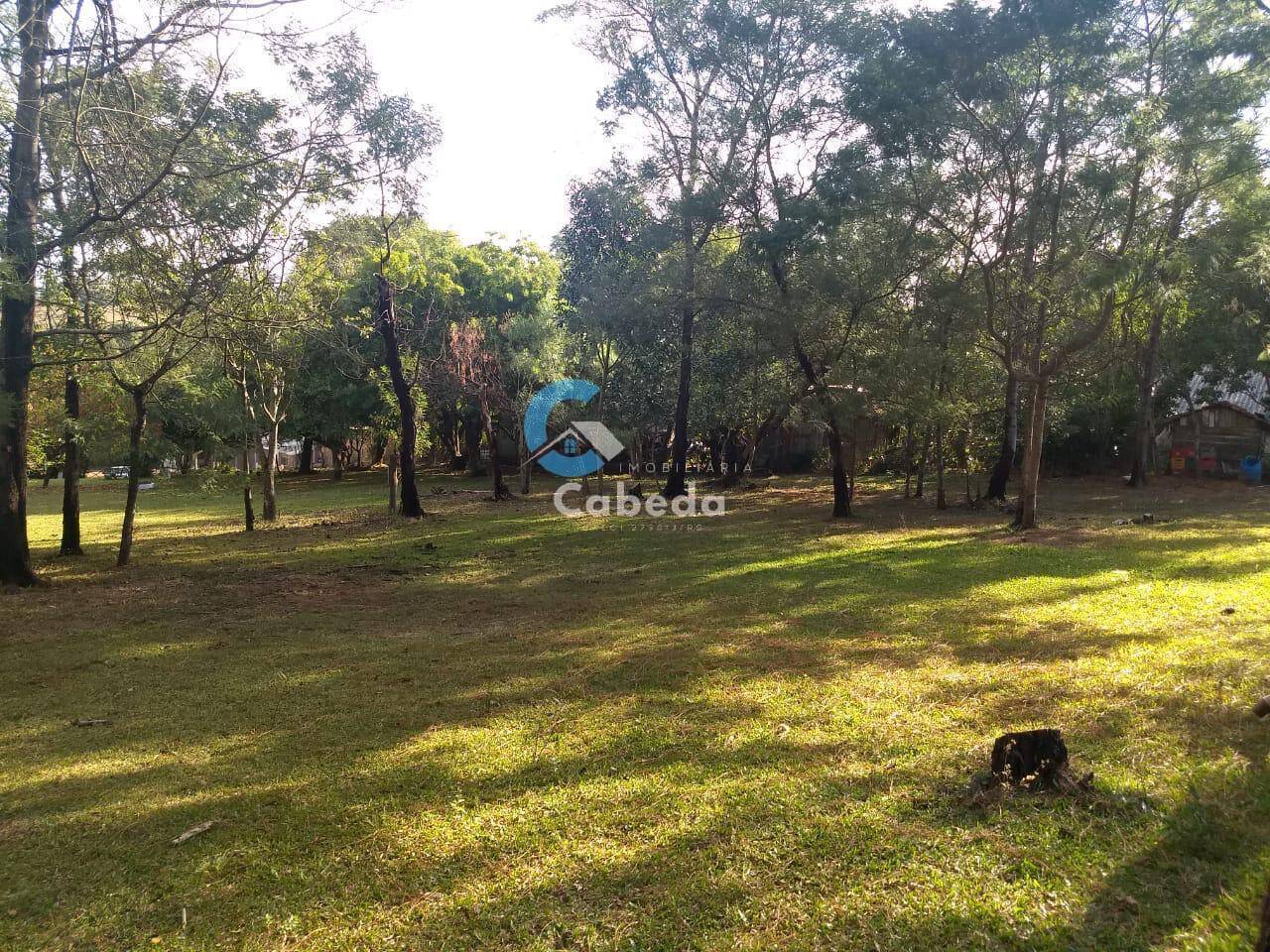 Chácara à venda com 3 quartos, 9000m² - Foto 4