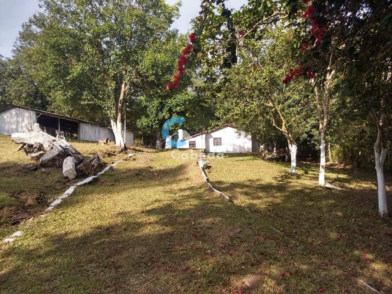 Chácara à venda com 3 quartos, 9000m² - Foto 5