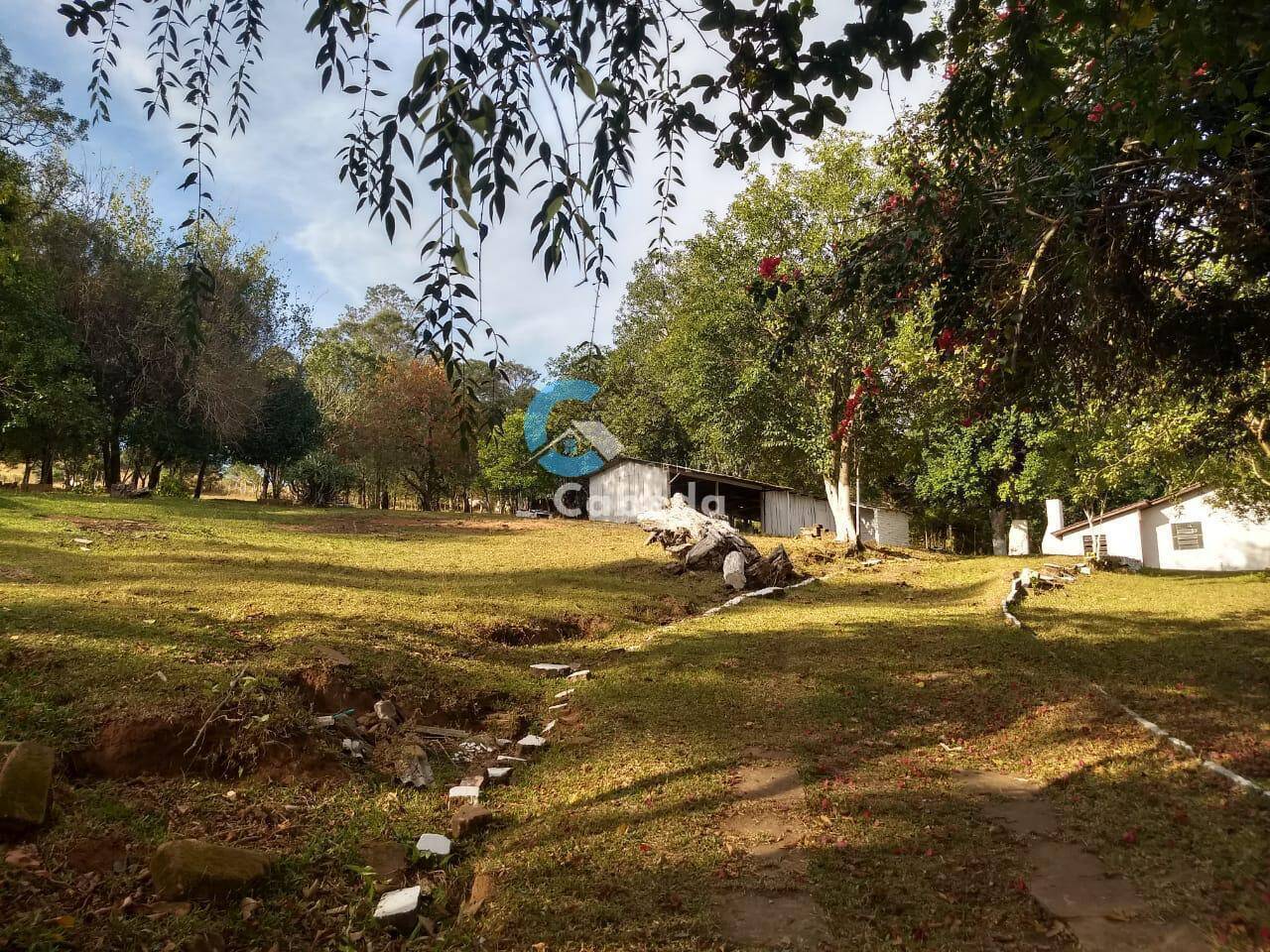 Chácara à venda com 3 quartos, 9000m² - Foto 6