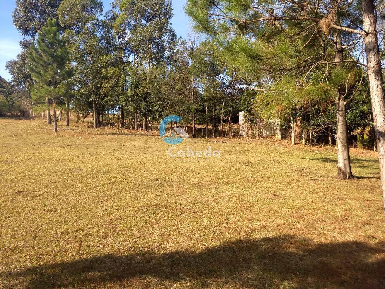 Chácara à venda com 3 quartos, 9000m² - Foto 9