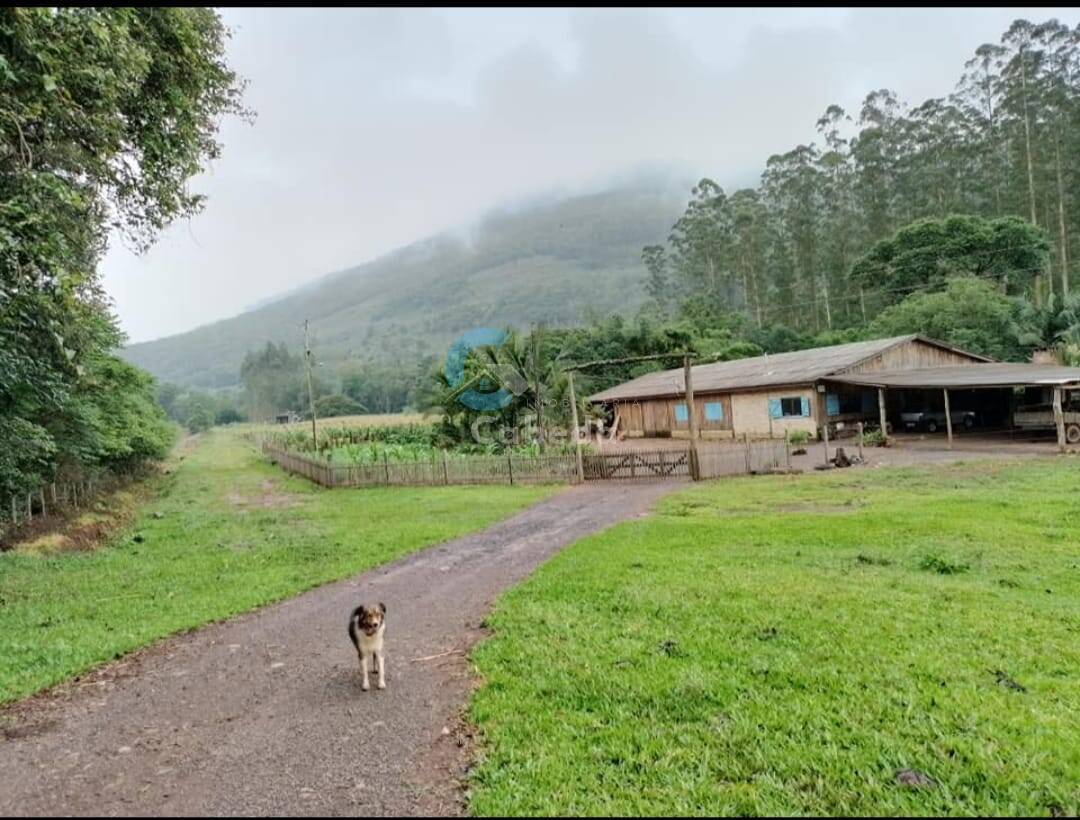 Chácara à venda com 3 quartos, 250m² - Foto 4