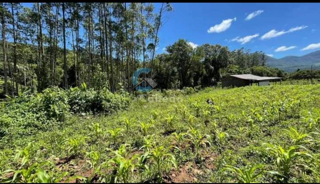 Chácara à venda com 3 quartos, 250m² - Foto 8