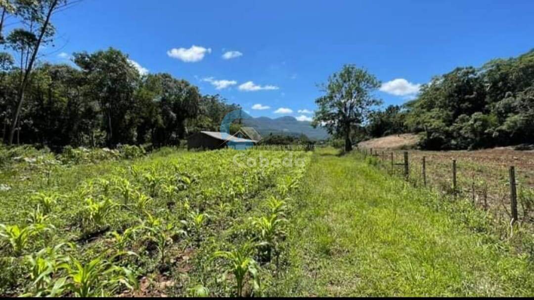 Chácara à venda com 3 quartos, 250m² - Foto 15