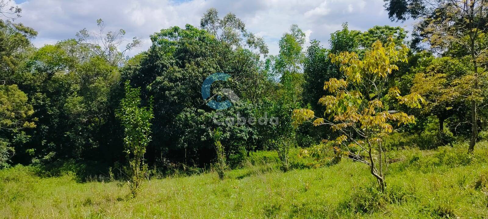 Sítio, 2 quartos, 5000 m² - Foto 4