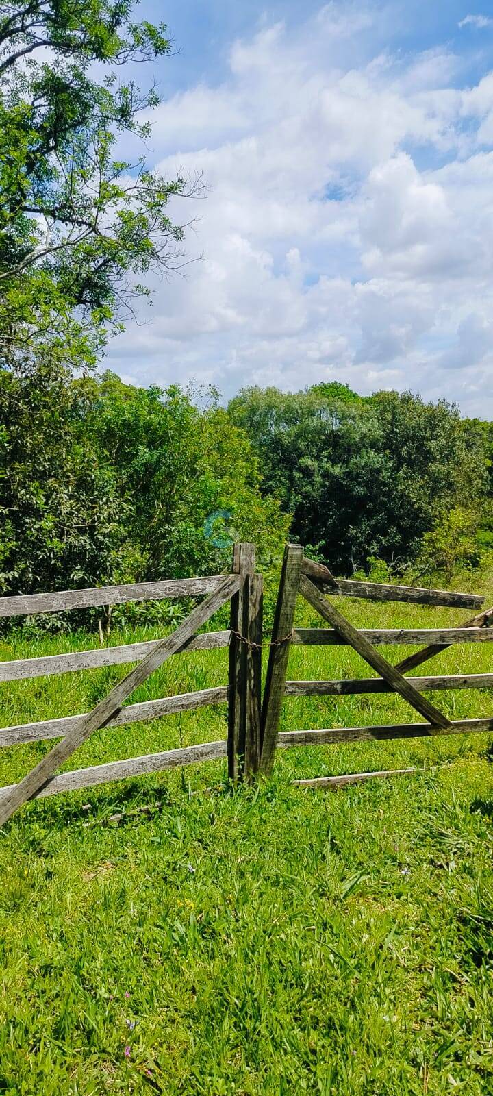 Sítio, 2 quartos, 5000 m² - Foto 5